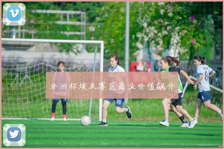 非洲杯埃及赛区商业价值飙升