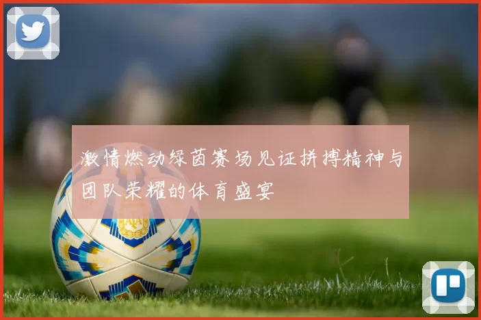 激情燃动绿茵赛场见证拼搏精神与团队荣耀的体育盛宴