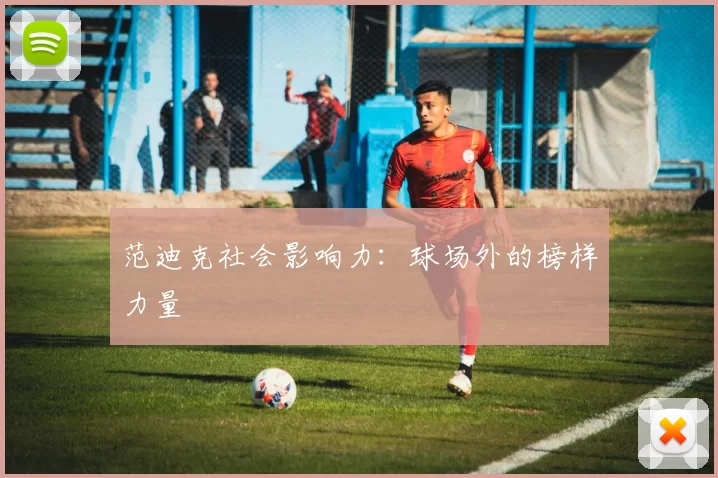 范迪克社会影响力：球场外的榜样力量