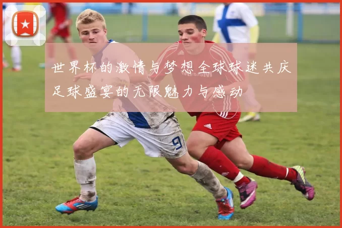 世界杯的激情与梦想全球球迷共庆足球盛宴的无限魅力与感动