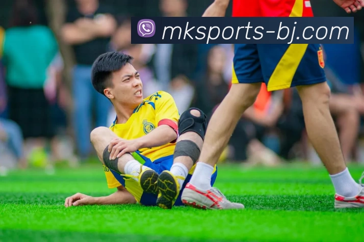 多媒体互动体验